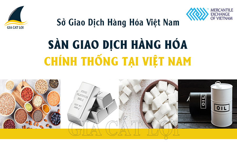 Giao dịch hàng hóa tại Việt Nam - Gia Cát Lợi