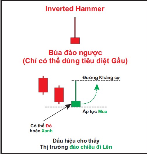Inverted Hammer – Nến búa ngược