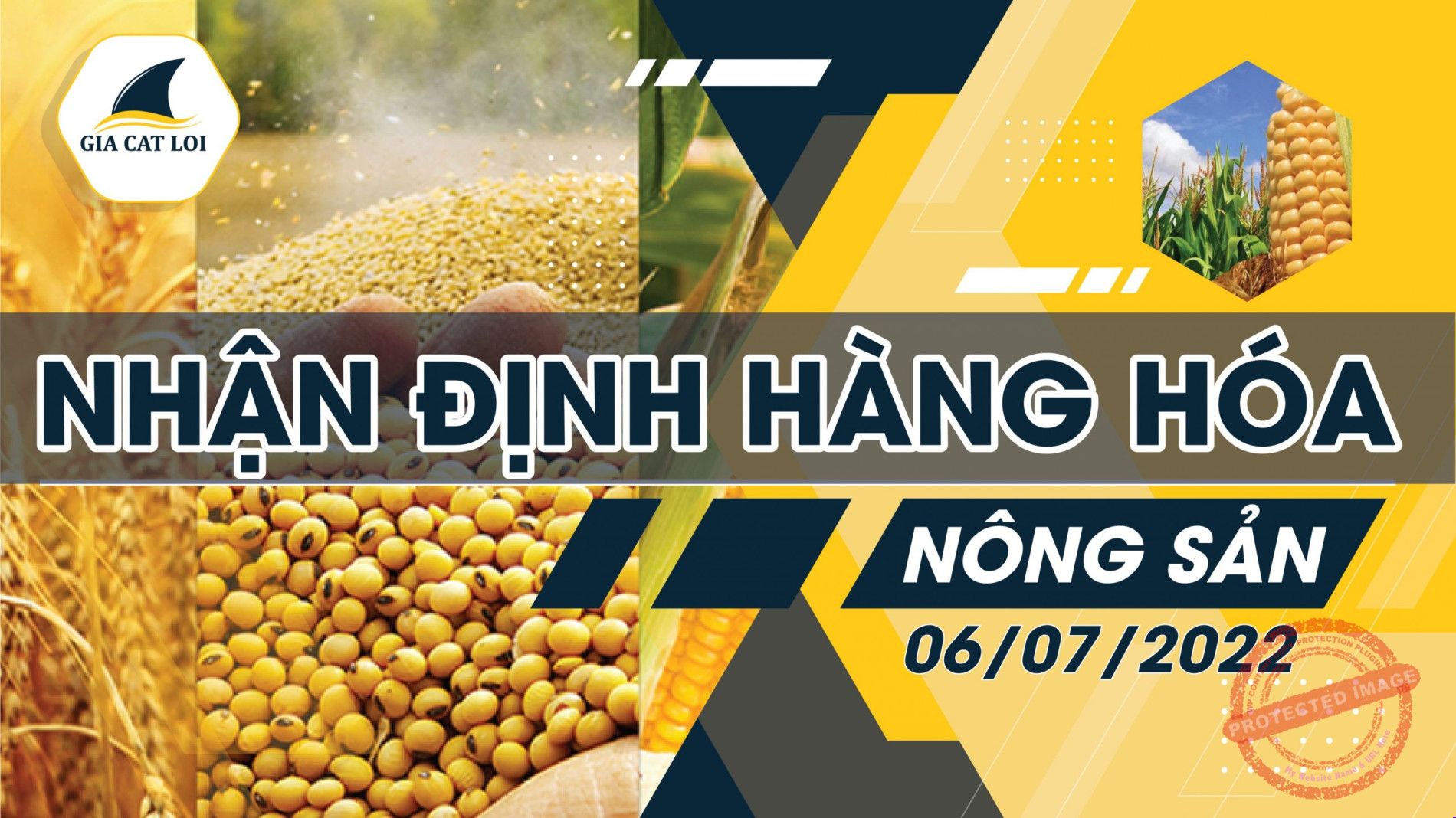 Nhận Định Thị Trường Nông Sản Ngày 06/07/2022