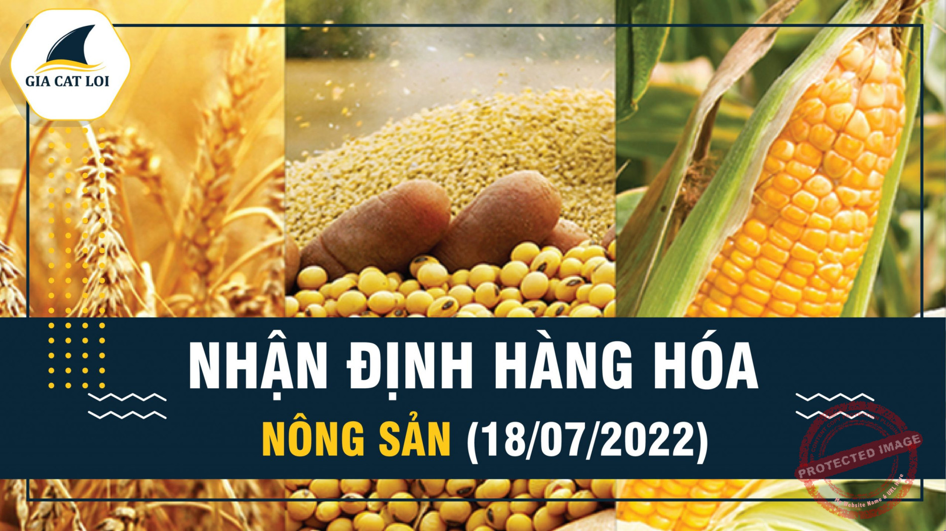 Nhận Định Thị Trường Nông Sản Ngày 18/07/2022