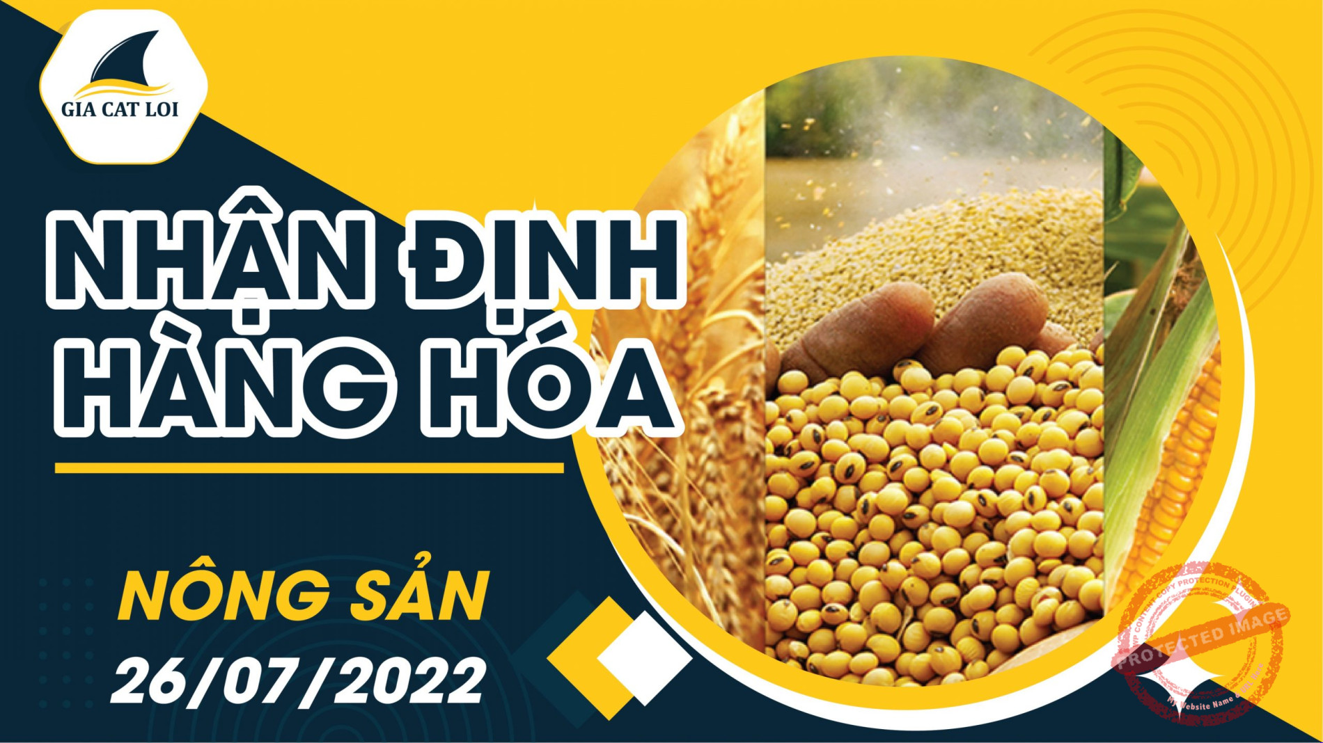 Nhận Định Thị Trường Nông Sản Ngày 26/07/2022