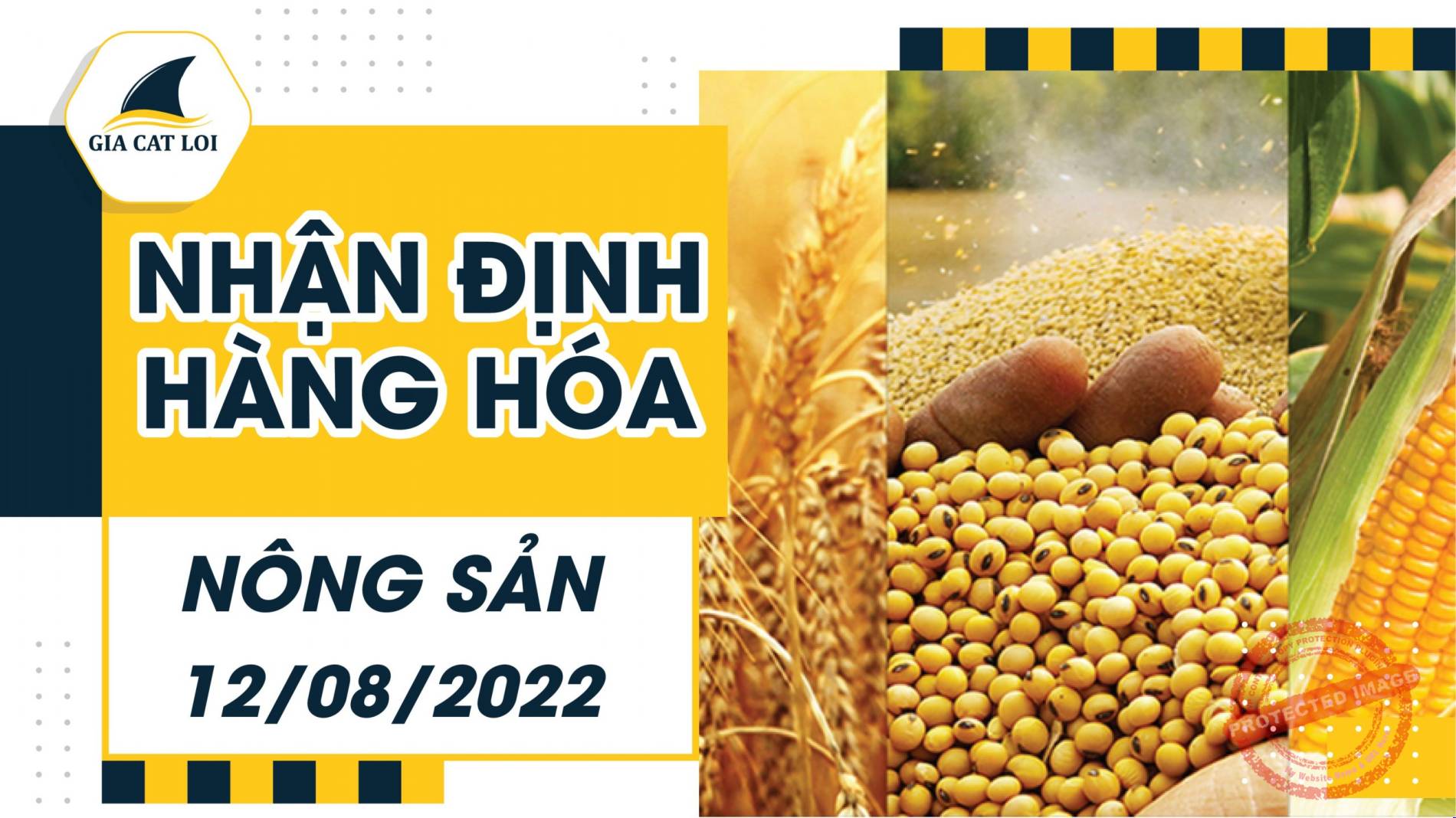 Nhận Định Thị Trường Nông Sản Ngày 12/08/2022