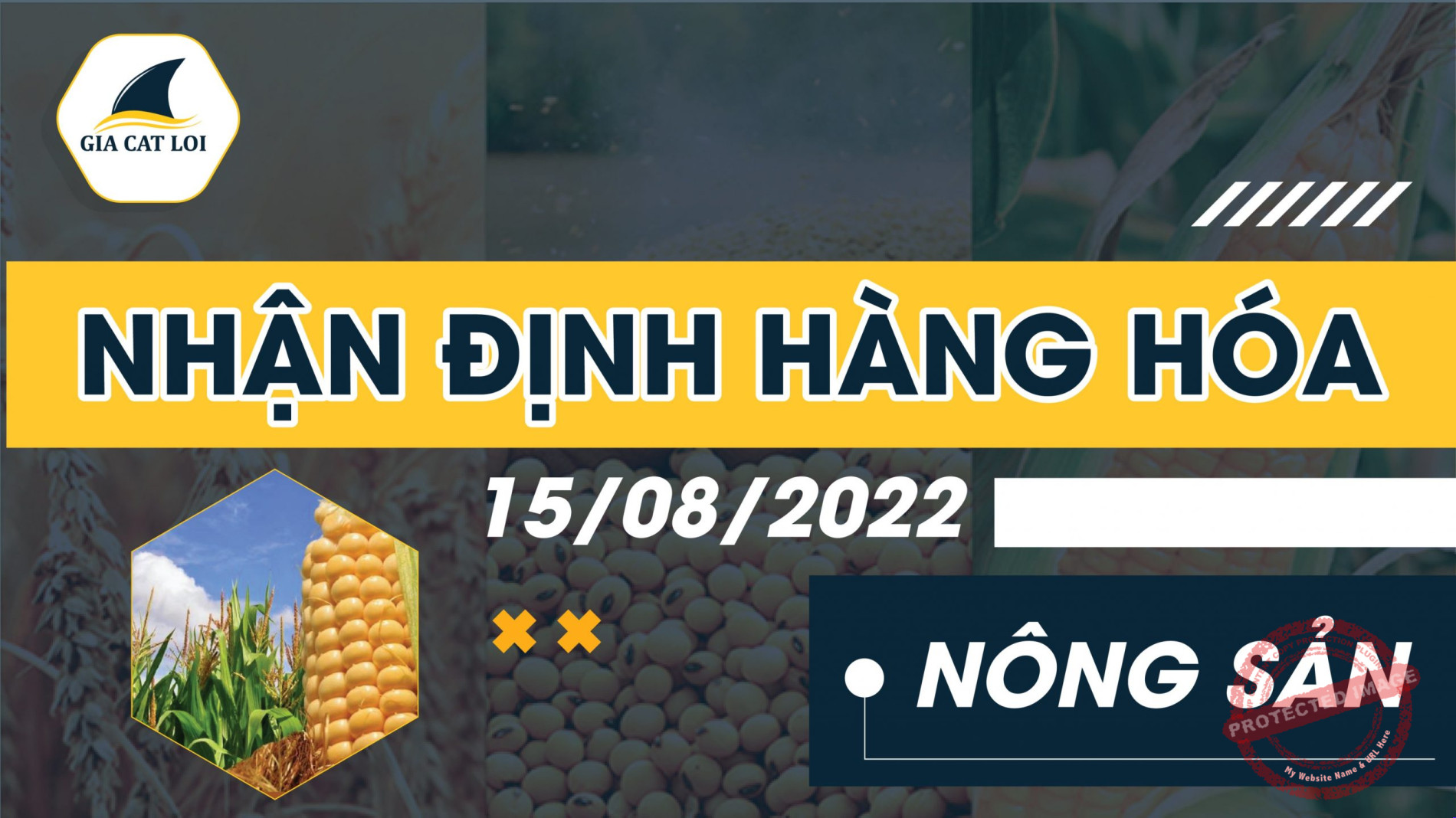 Nhận Định Thị Trường Nông Sản Ngày 15/08/2022