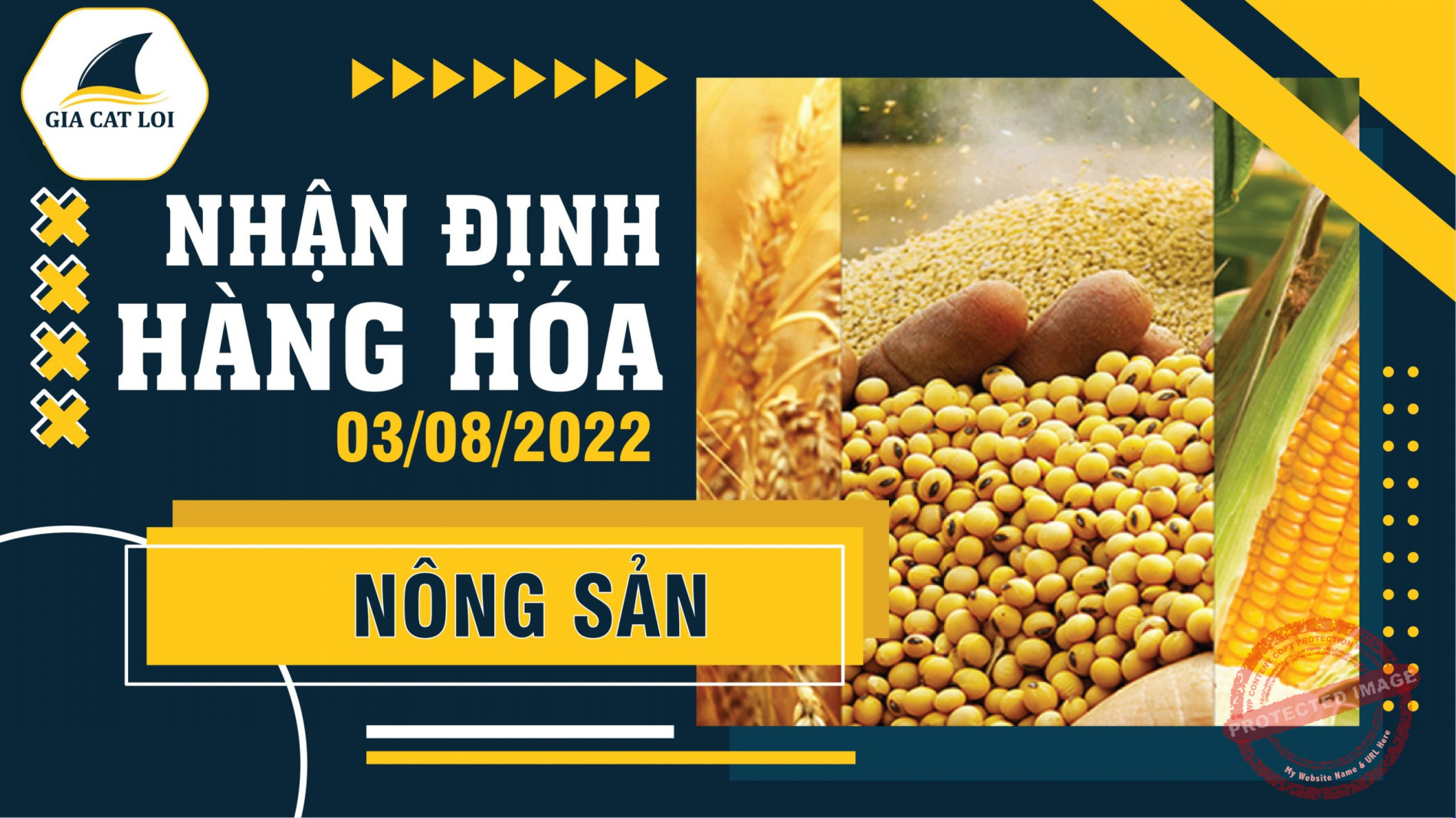 Nhận Định Thị Trường Nông Sản Ngày 03/08/2022