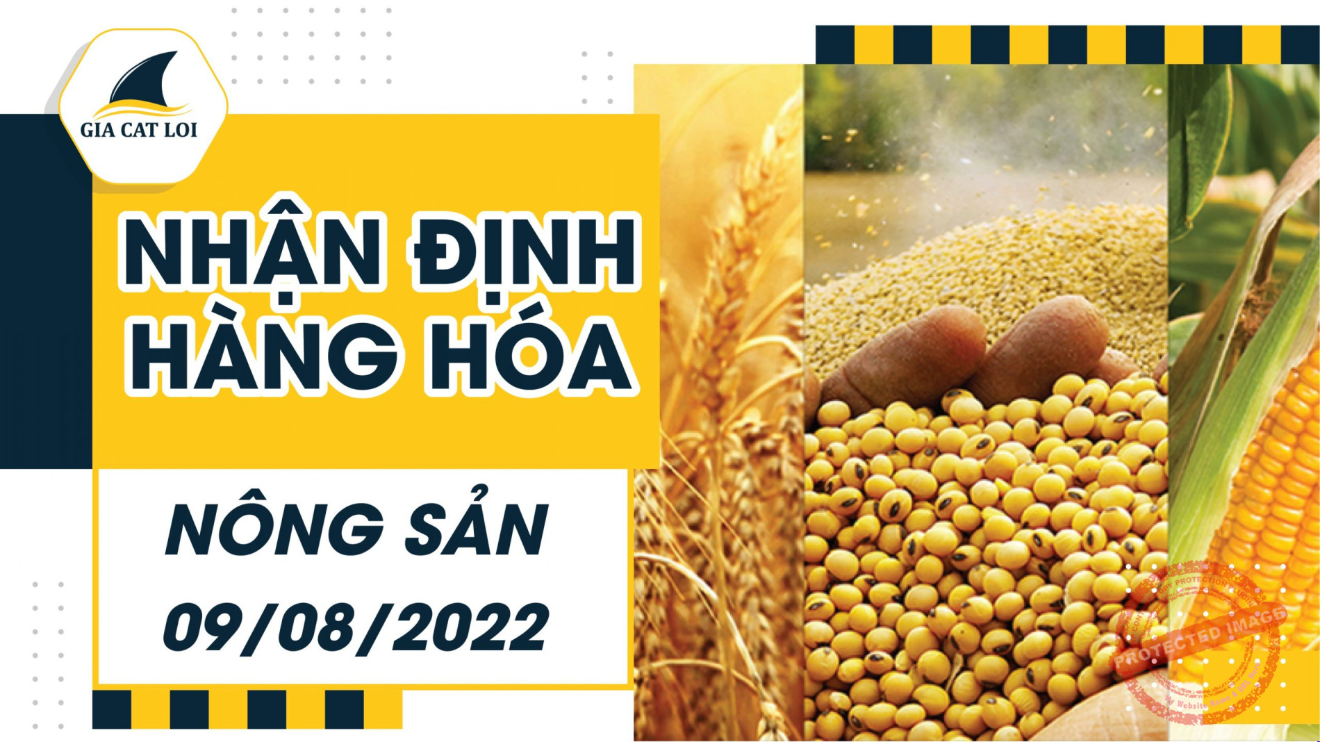 Nhận Định Thị Trường Nông Sản Ngày 09/08/2022
