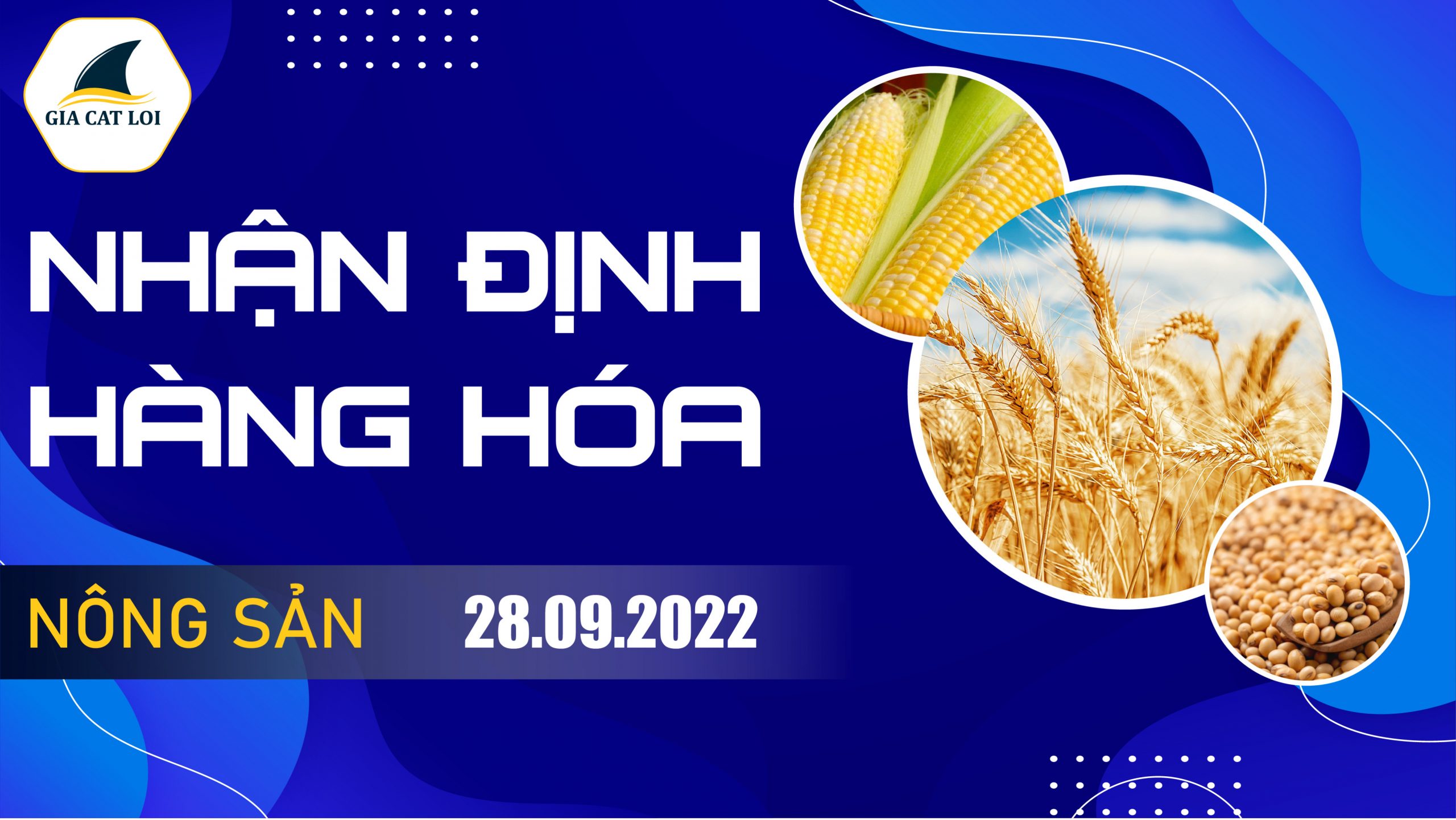 Nhận Định Thị Trường Nông Sản Ngày 28/09/2022