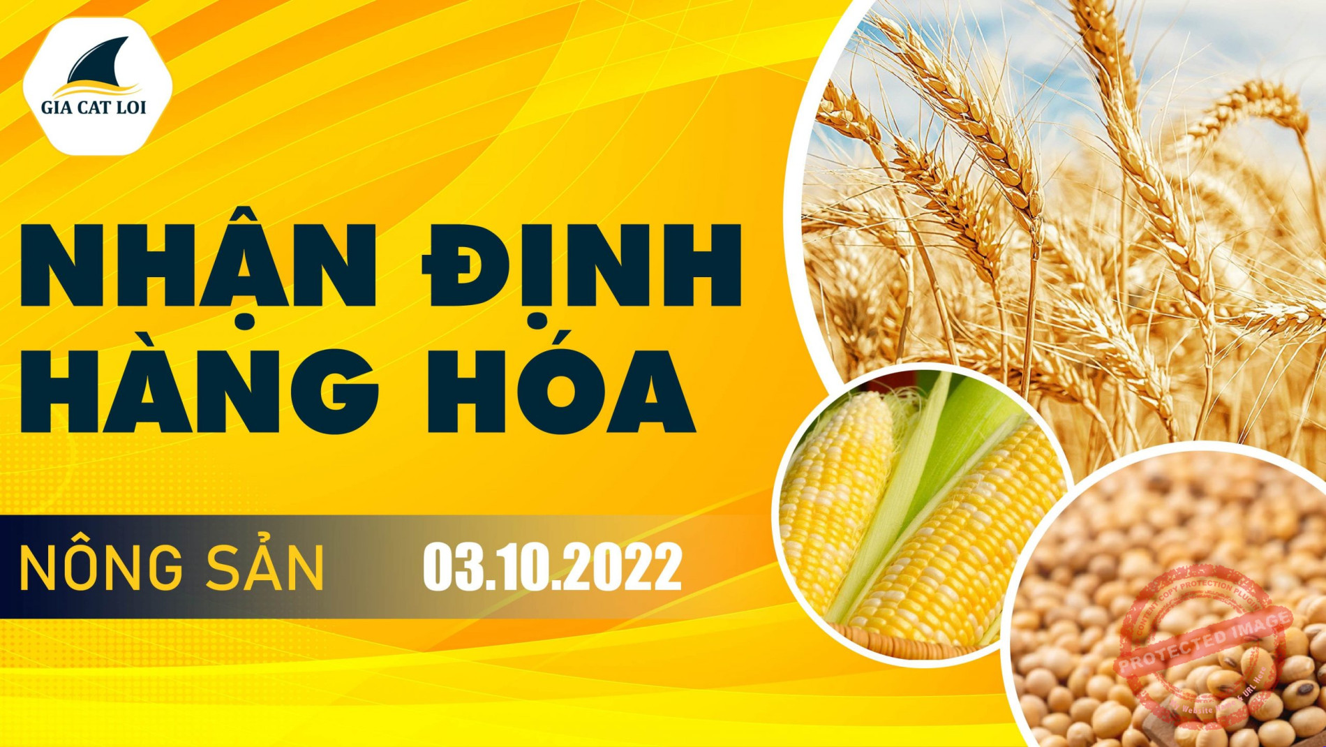 Nhận Định Thị Trường Nông Sản Ngày 03/10/2022