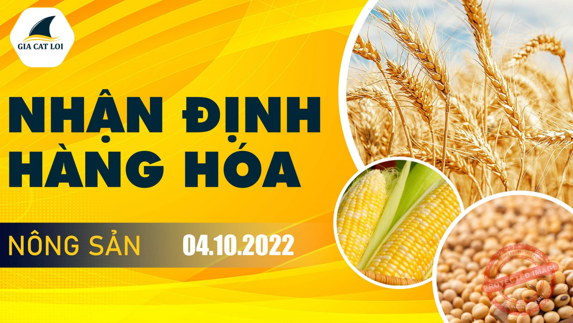 Nhận Định Thị Trường Nông Sản Ngày 04/10/2022