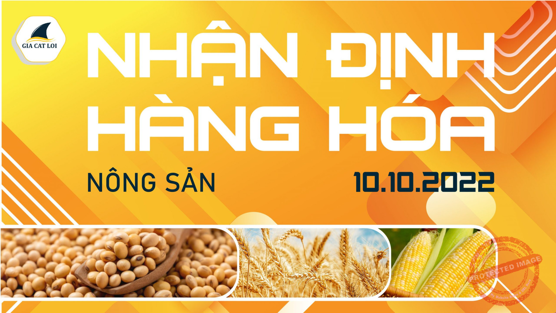 Nhận Định Thị Trường Nông Sản Ngày 10/10/2022