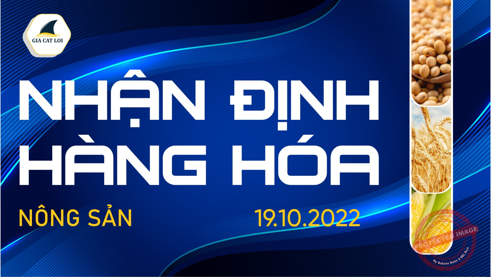 Nhận Định Thị Trường Nông Sản Ngày 19/10/2022