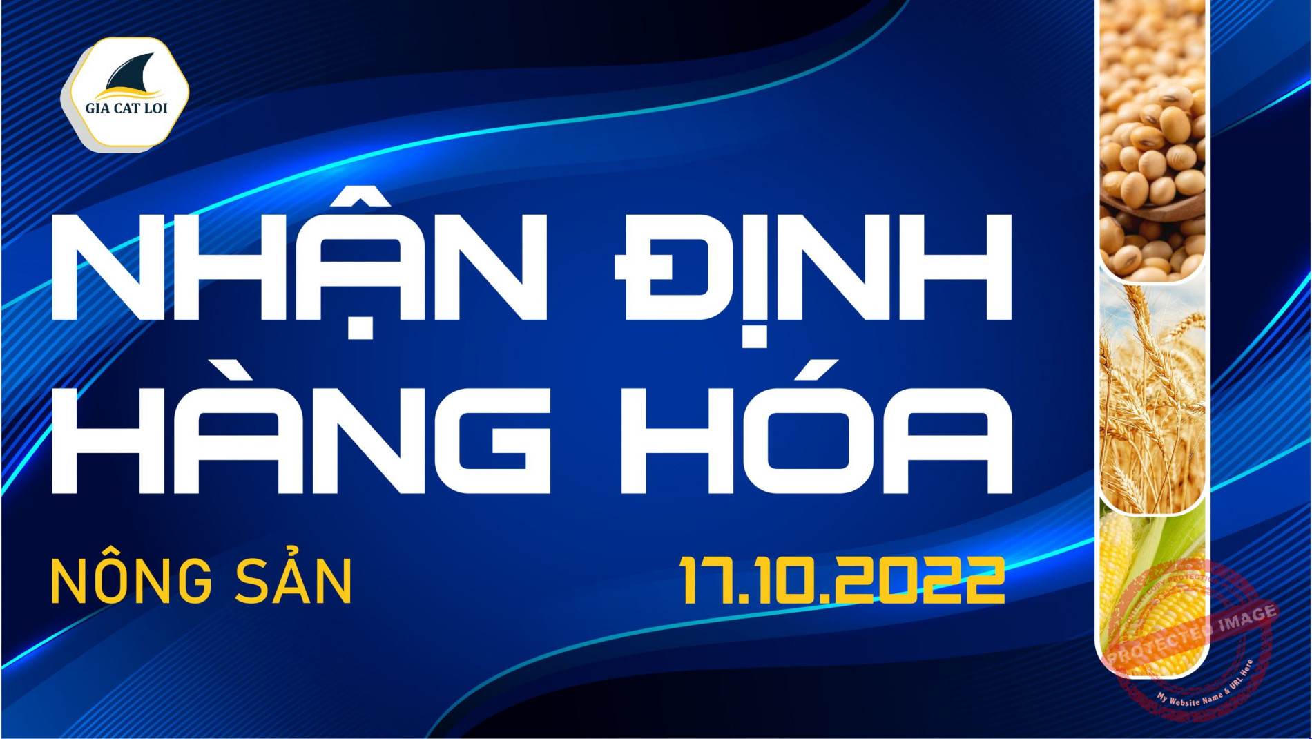 Nhận Định Thị Trường Nông Sản Ngày 17/10/2022