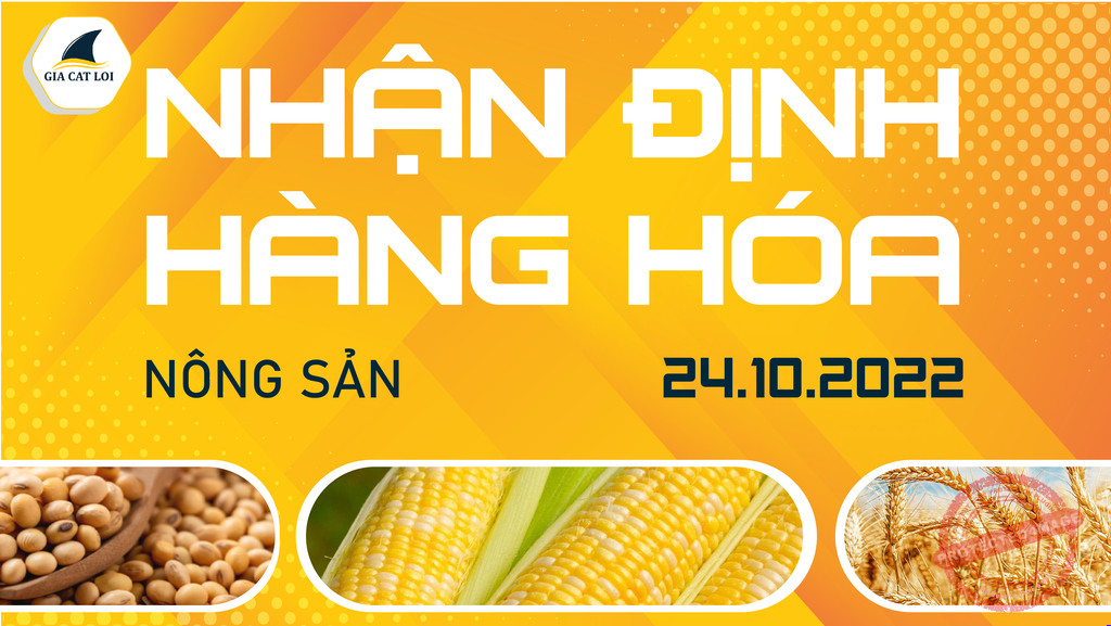 Nhận Định Thị Trường Nông Sản Ngày 24/10/2022
