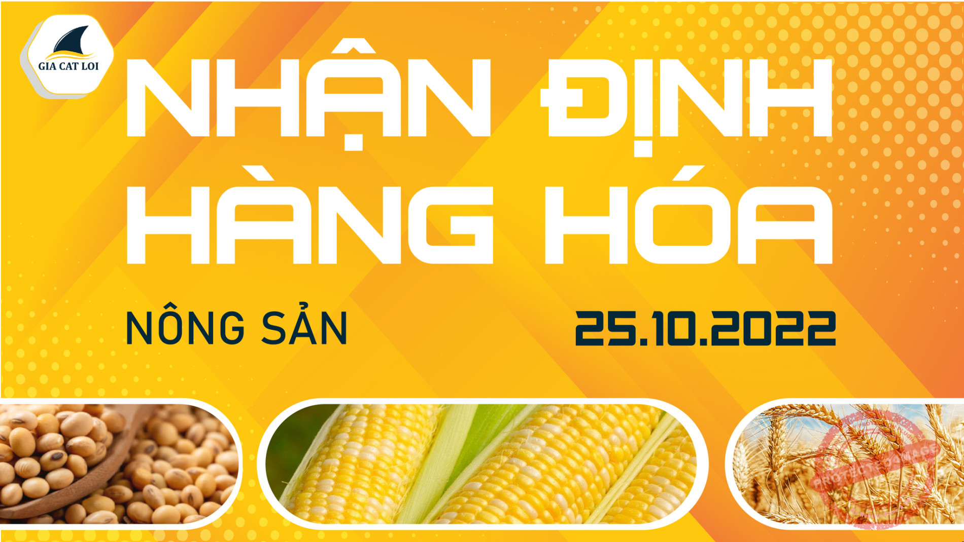 Nhận Định Thị Trường Nông Sản Ngày 25/10/2022