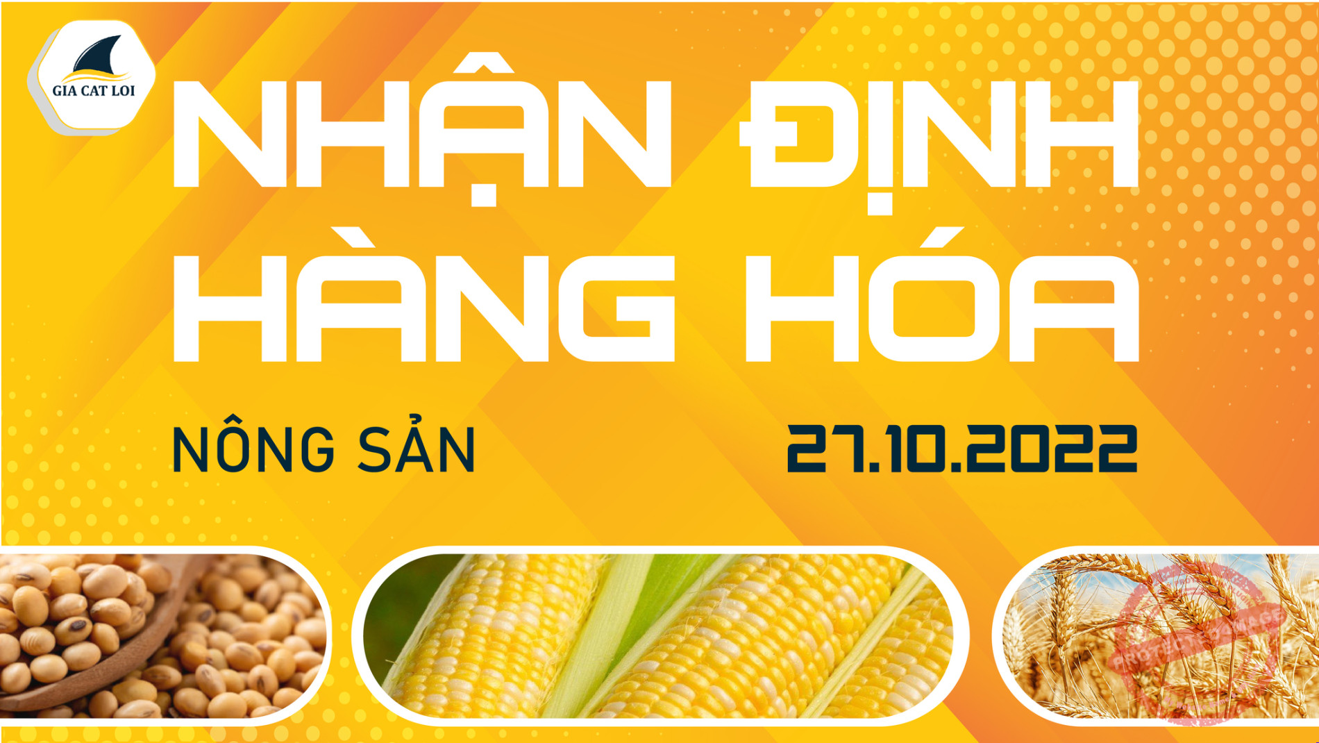 Nhận Định Thị Trường Nông Sản Ngày 27/10/2022