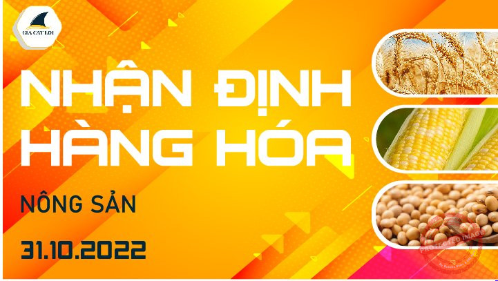 Nhận Định Thị Trường Nông Sản Ngày 31/10/2022