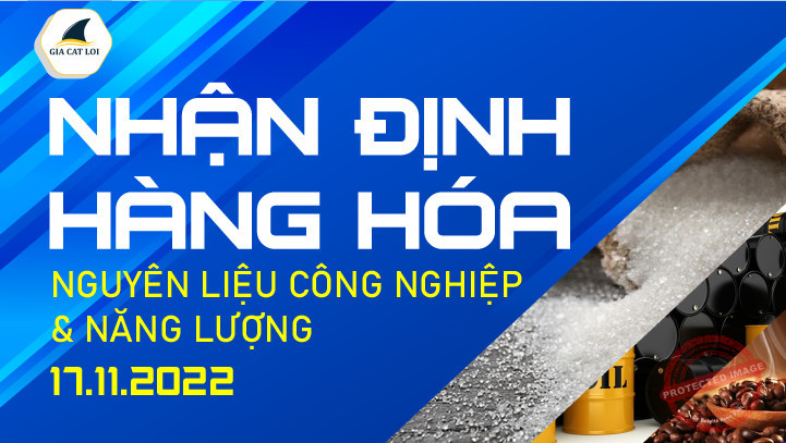 Năng Lượng & Nguyên Liệu Công Nghiệp Ngày 17/11/2022