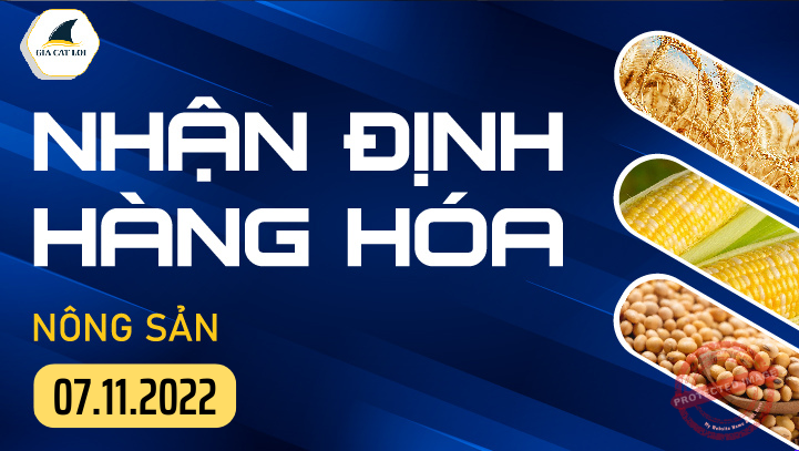 Nhận Định Thị Trường Nông Sản Ngày 07/11/2022