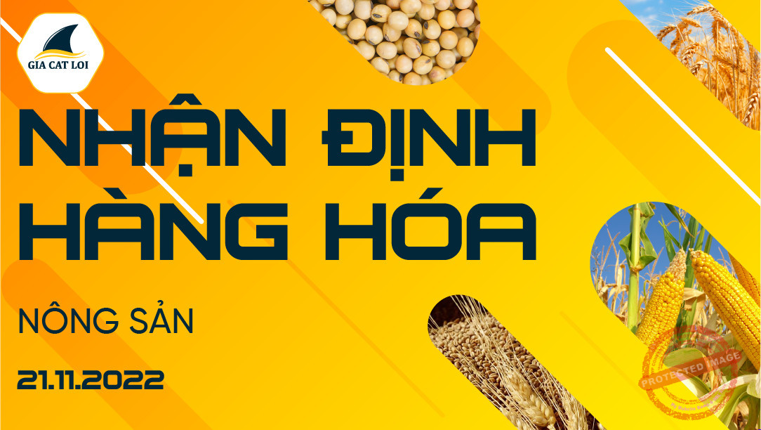 Nhận Định Thị Trường Nông Sản Ngày 21/11/2022