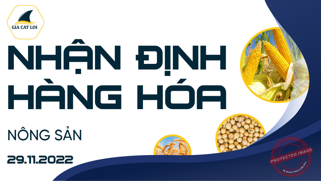 Nhận Định Thị Trường Nông Sản Ngày 29/11/2022