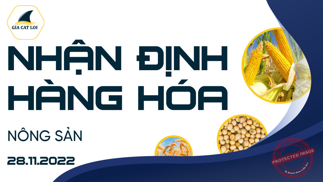 Nhận Định Thị Trường Nông Sản Ngày 28/11/2022
