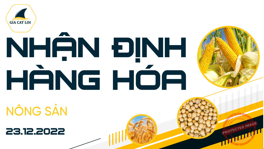 Nhận Định Thị Trường Nông Sản Ngày 23/12/2022