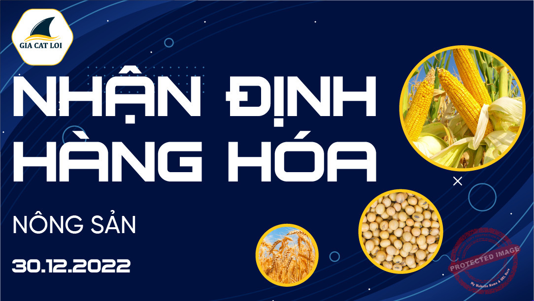 Nhận Định Thị Trường Nông Sản Ngày 30/12/2022