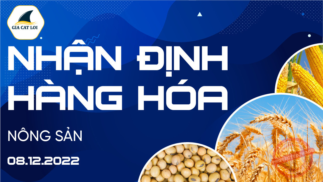 Nhận Định Thị Trường Nông Sản Ngày 08/12/2022