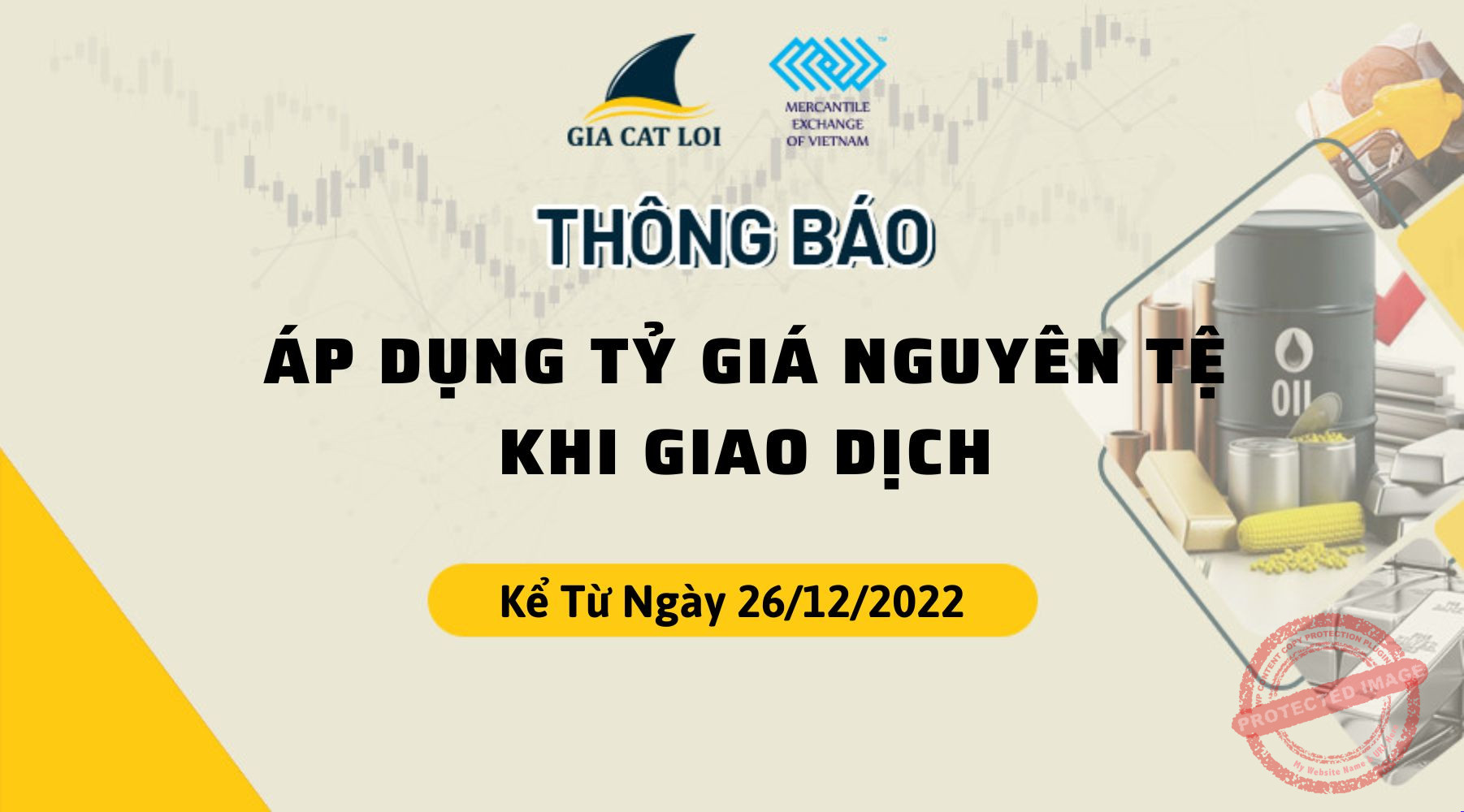 Áp Dụng Tỷ Giá Nguyên Tệ Kể Từ Ngày 26/12/2022