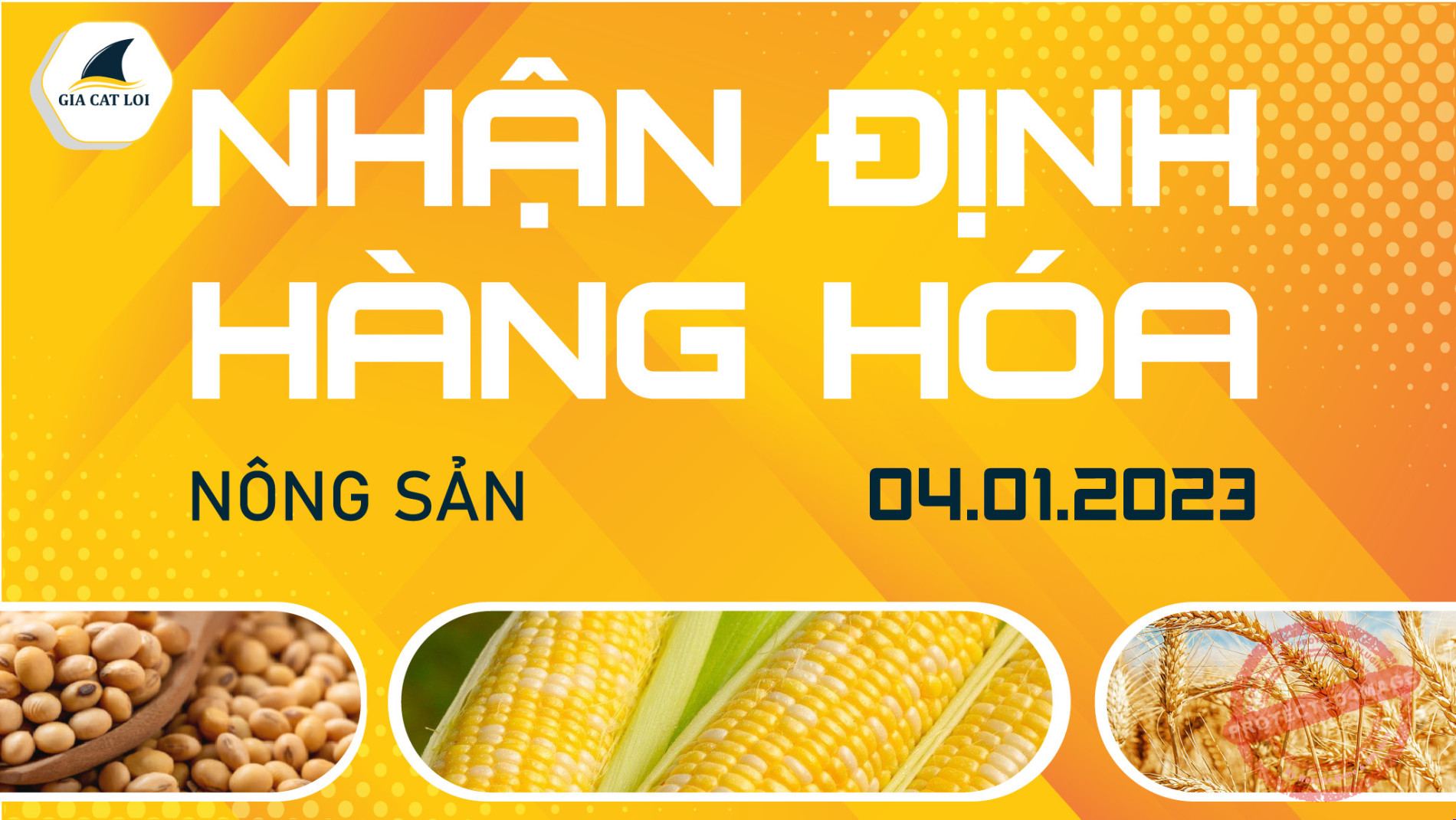 Nhận Định Thị Trường Nông Sản Ngày 04/01/2023