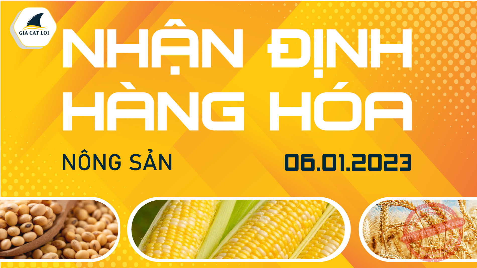 Nhận Định Thị Trường Nông Sản Ngày 06/01/2023
