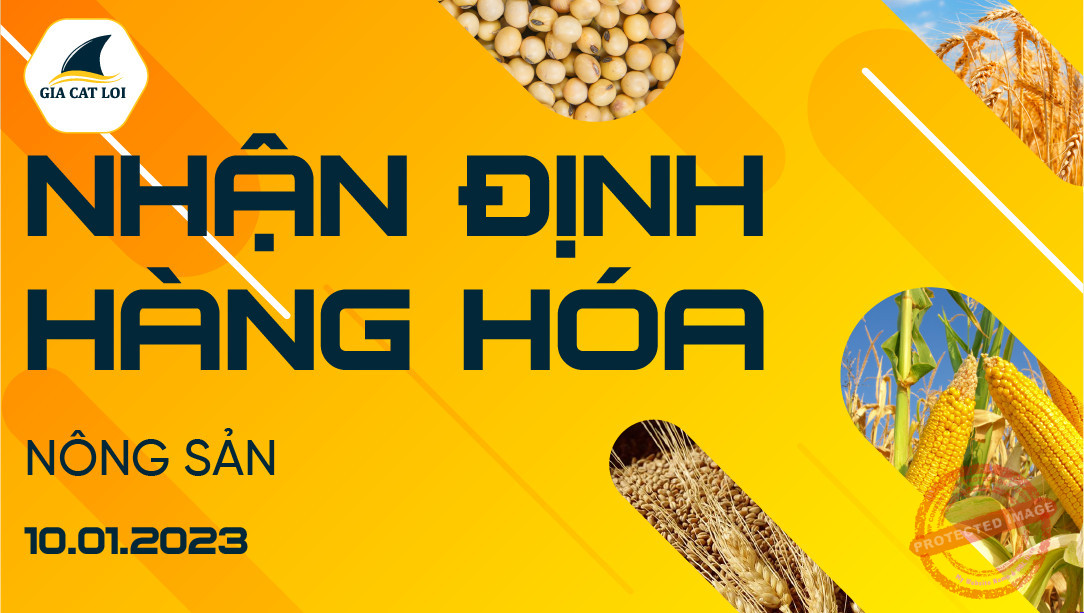 Nhận Định Thị Trường Nông Sản Ngày 10/01/2023