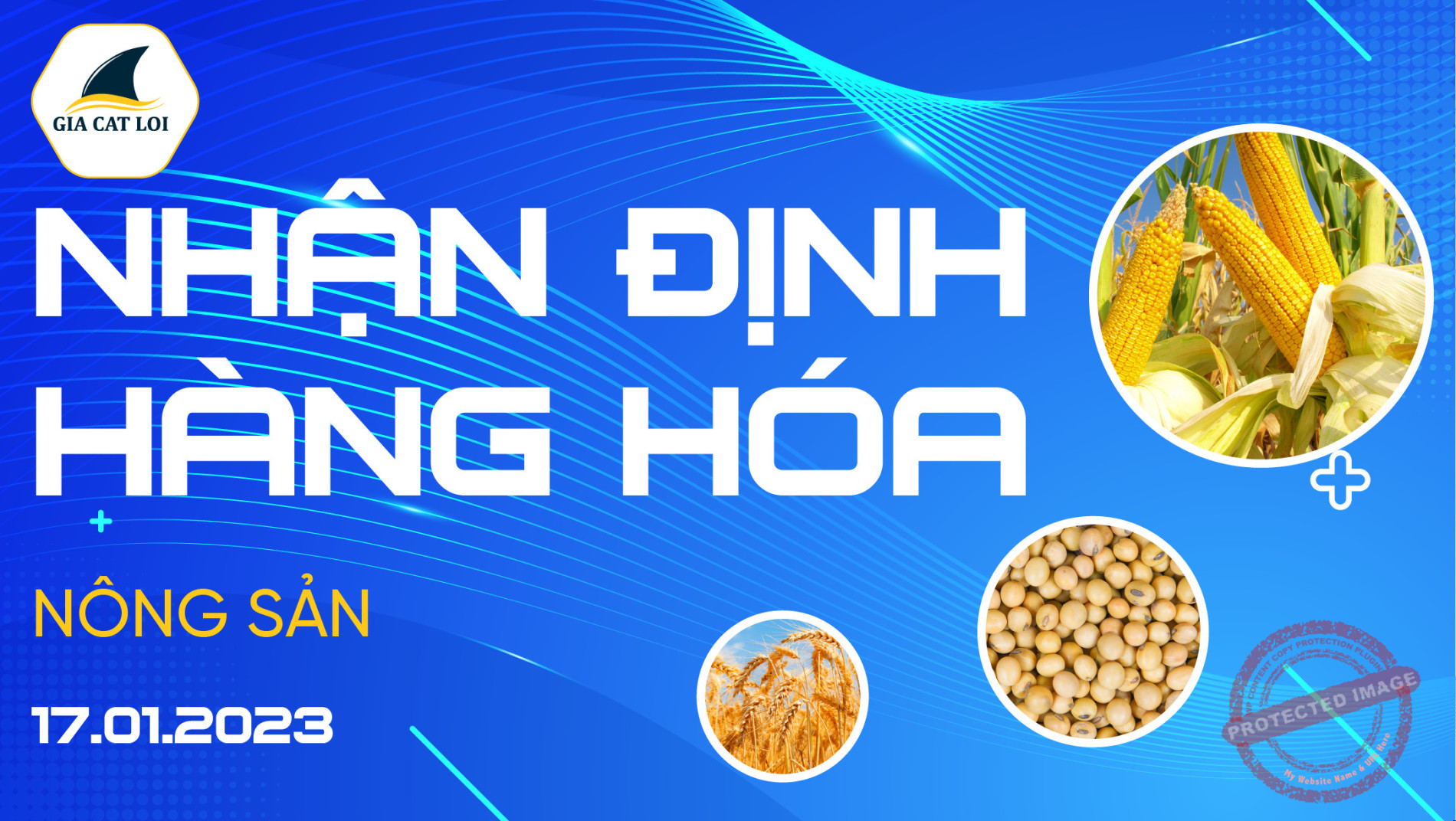 Nhận Định Thị Trường Nông Sản Ngày 17/01/2023
