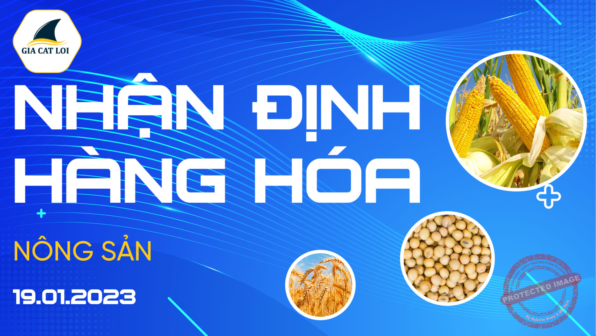Nhận Định Thị Trường Nông Sản Ngày 19/01/2023