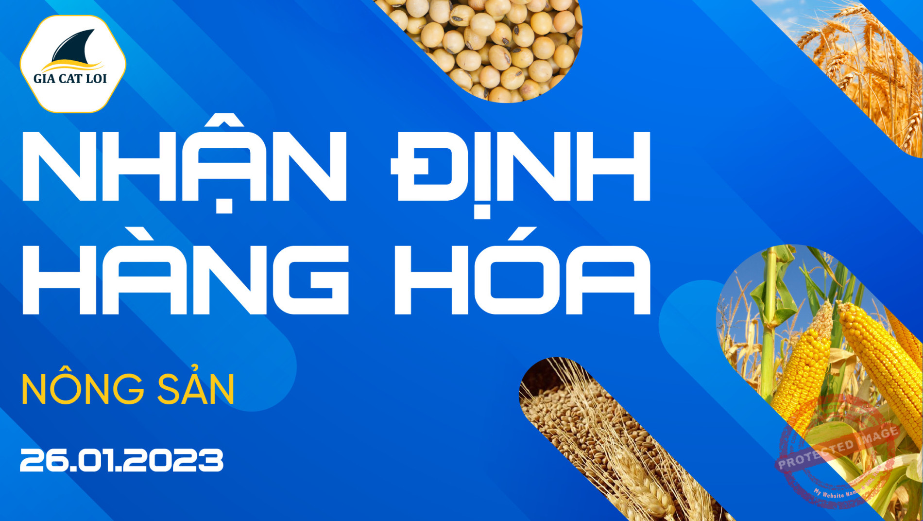 Nhận Định Thị Trường Nông Sản Ngày 26/01/2023