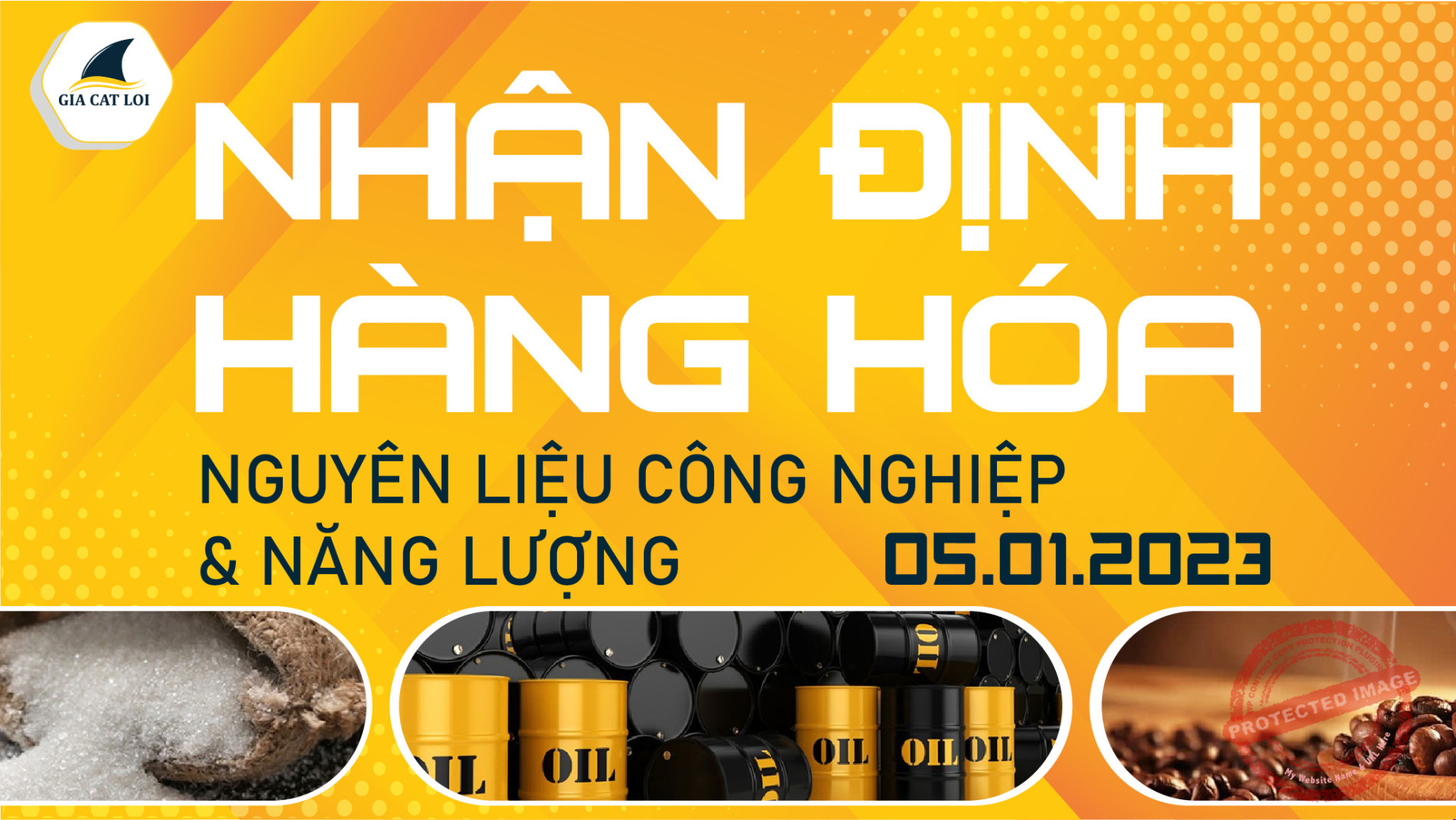 Năng Lượng & Nguyên Liệu Công Nghiệp Ngày 05/01/2023