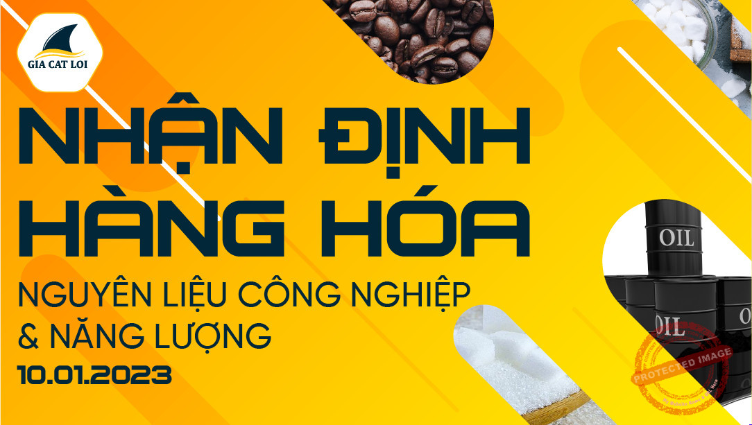Năng Lượng & Nguyên Liệu Công Nghiệp Ngày 10/01/2023