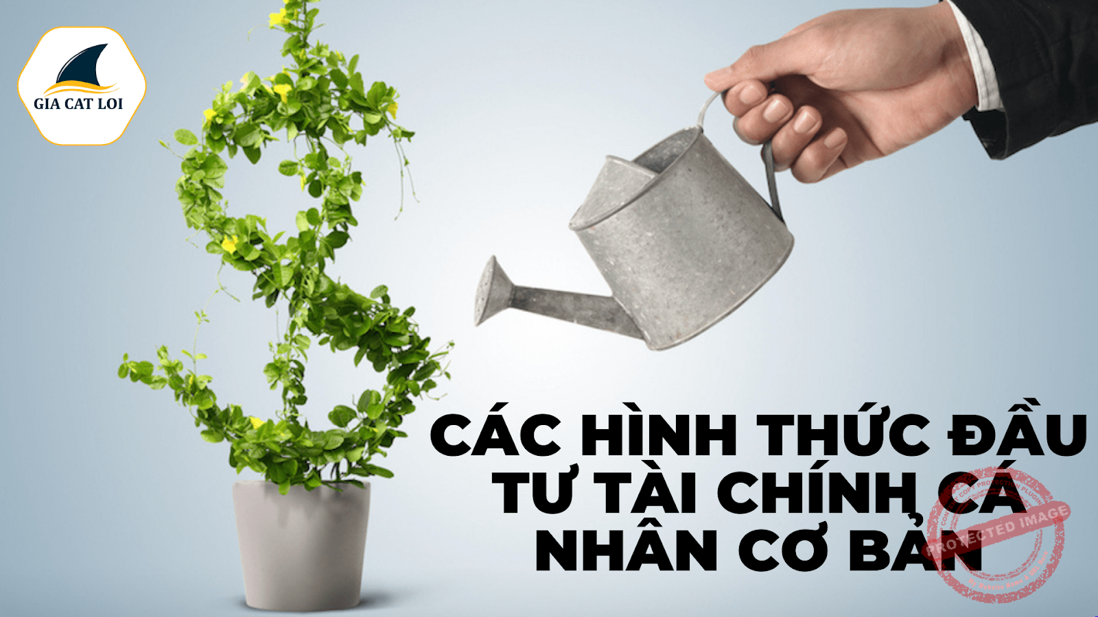 Các hình thức đầu tư tài chính cá nhân cơ bản Các hình thức đầu tư tài chính cá nhân cơ bản