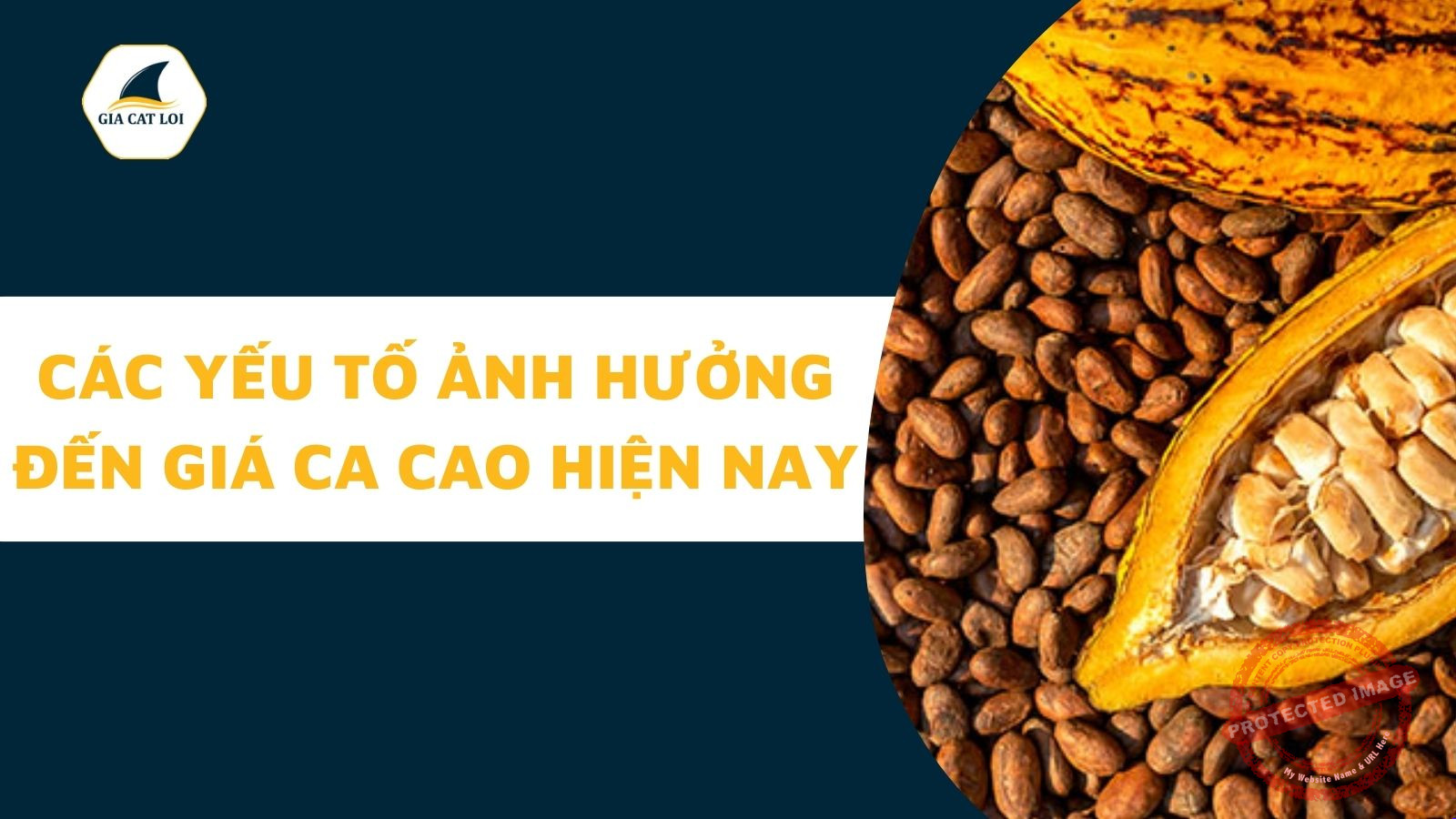 Cac yeu to anh huon den gia ca cao truc tuyen