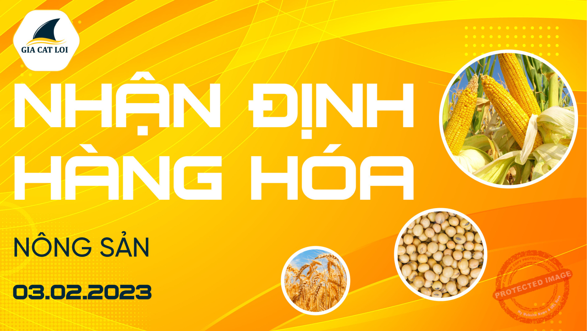 Nhận Định Thị Trường Nông Sản Ngày 03/02/2023