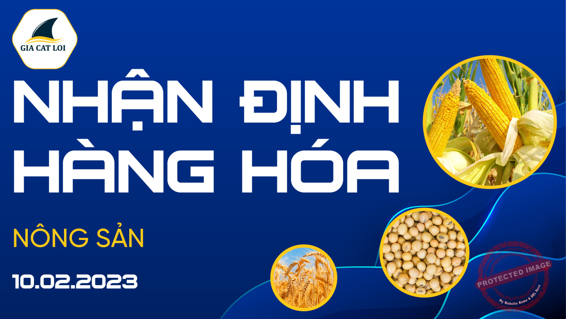Nhận Định Thị Trường Nông Sản Ngày 10/02/2023