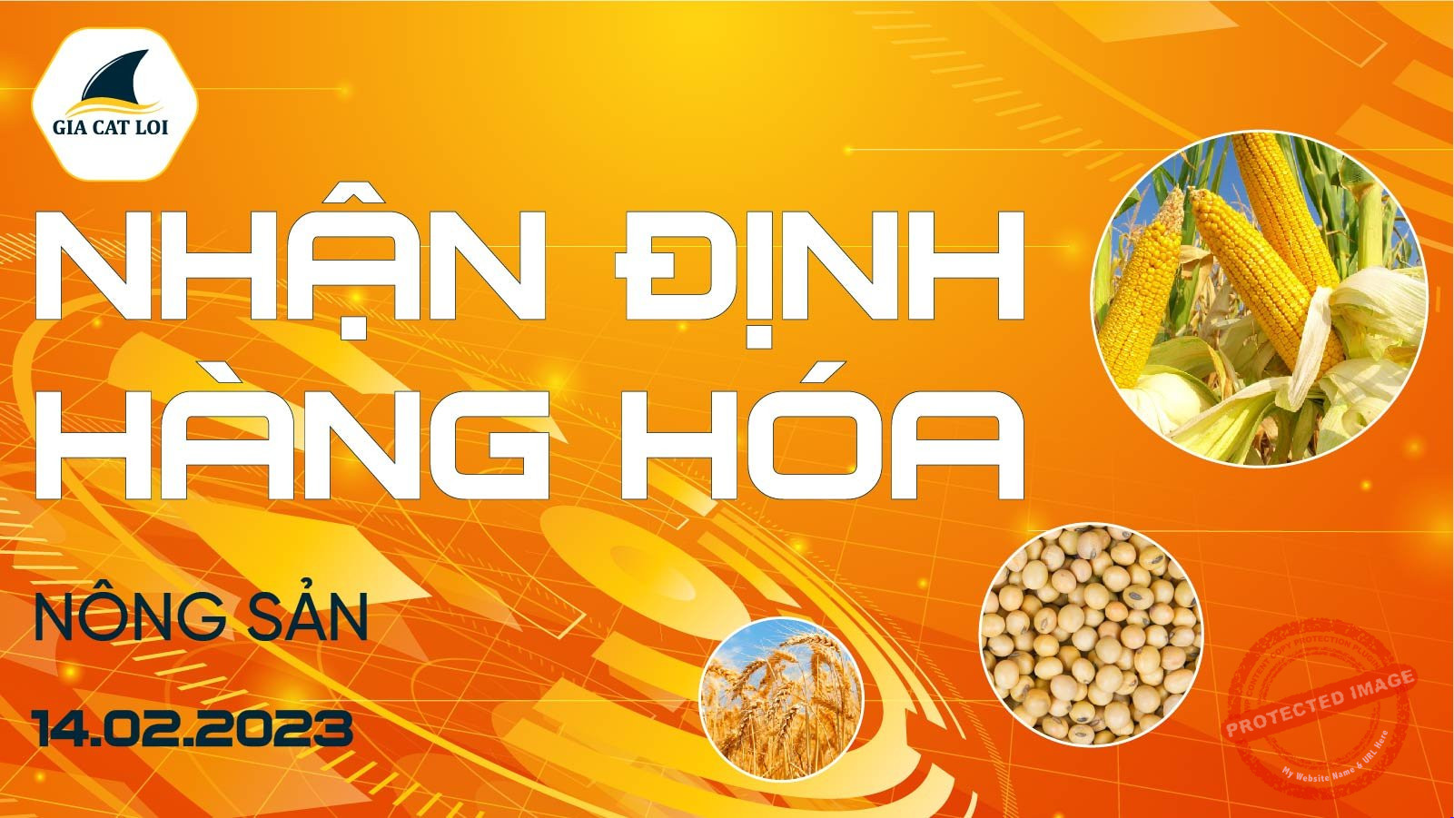 Nhận Định Thị Trường Nông Sản Ngày 14/02/2023