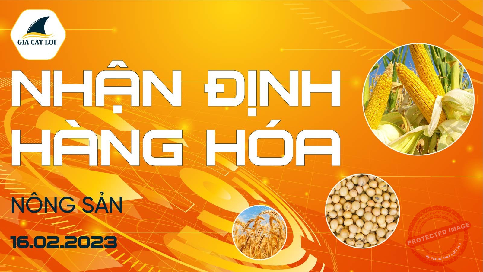 Nhận Định Thị Trường Nông Sản Ngày 16/02/2023