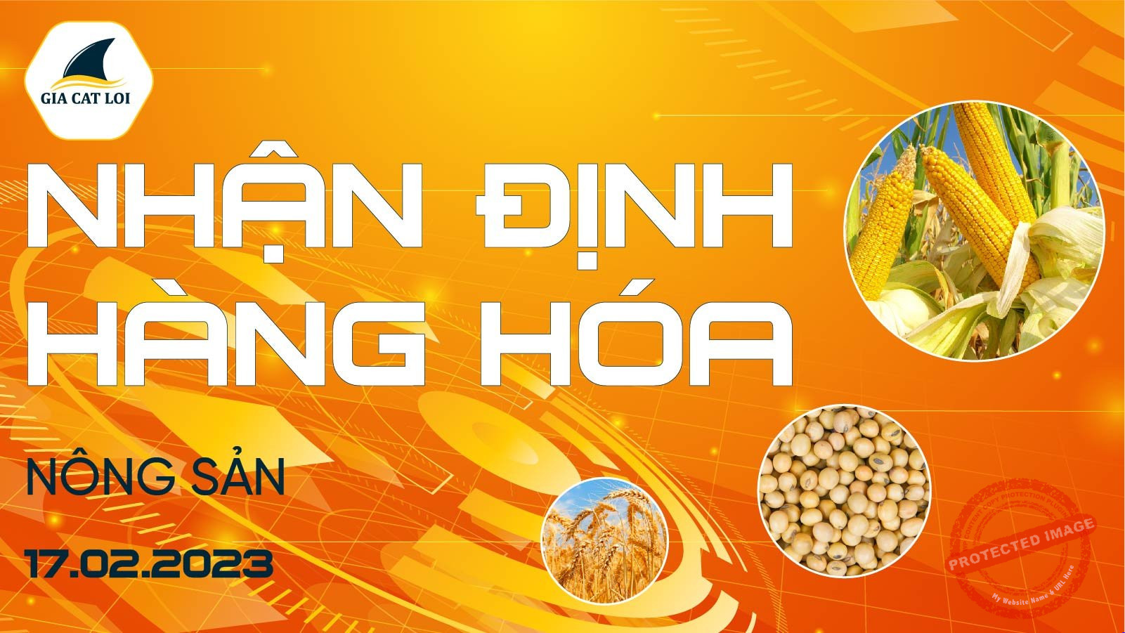 Nhận Định Thị Trường Nông Sản Ngày 17/02/2023