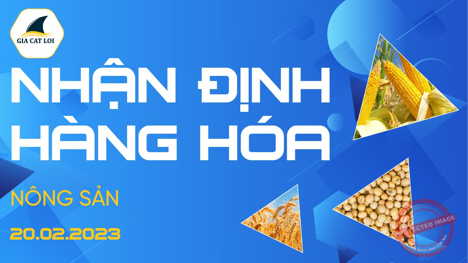 Nhận Định Thị Trường Nông Sản Ngày 20/02/2023