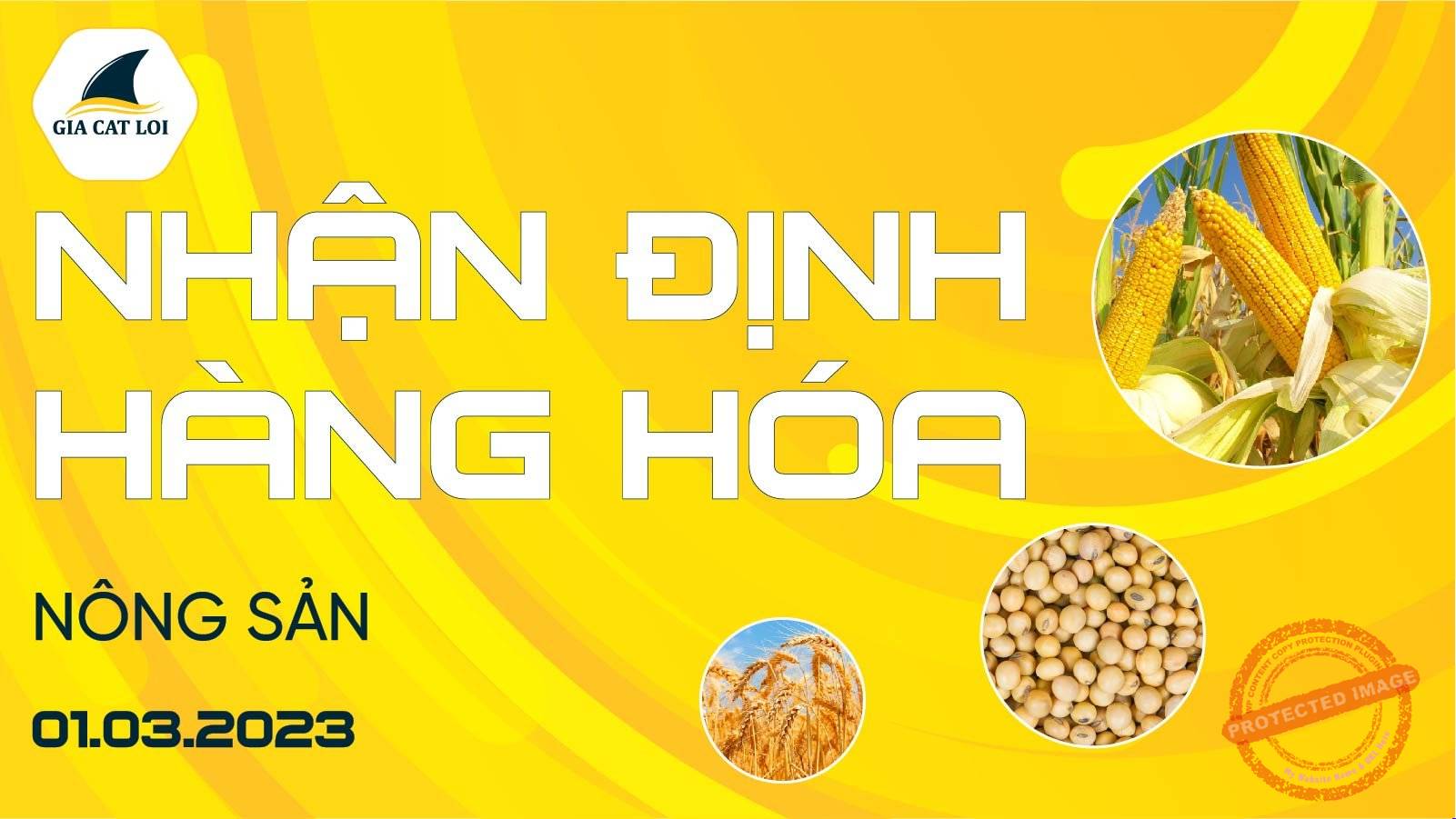Nhận Định Thị Trường Nông Sản Ngày 01/03/2023
