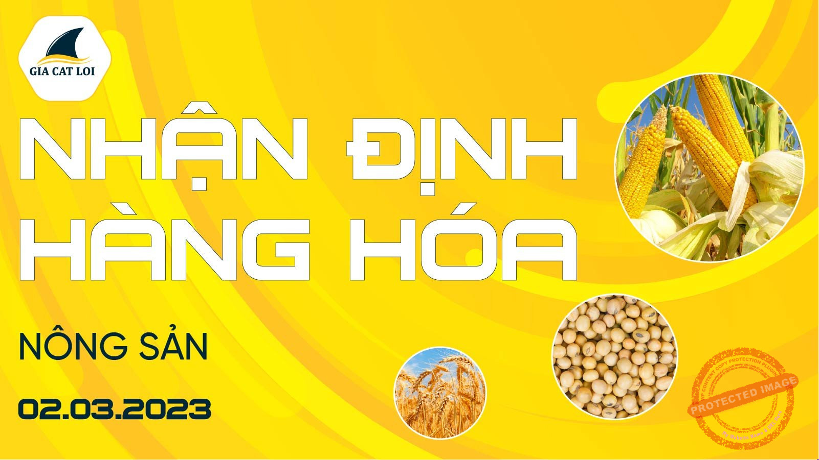 Nhận Định Thị Trường Nông Sản Ngày 02/03/2023