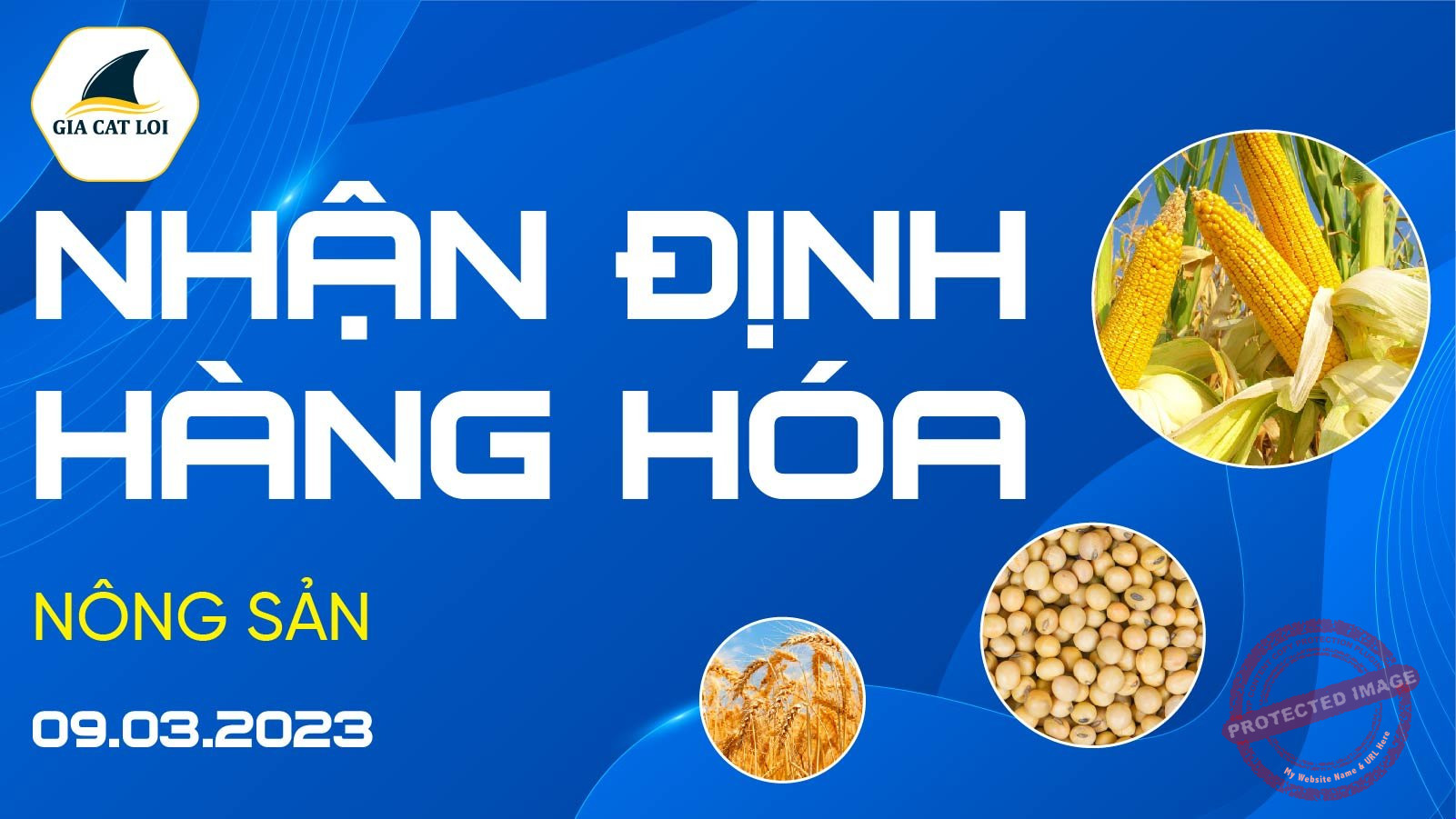 Nhận Định Thị Trường Nông Sản Ngày 09/03/2023