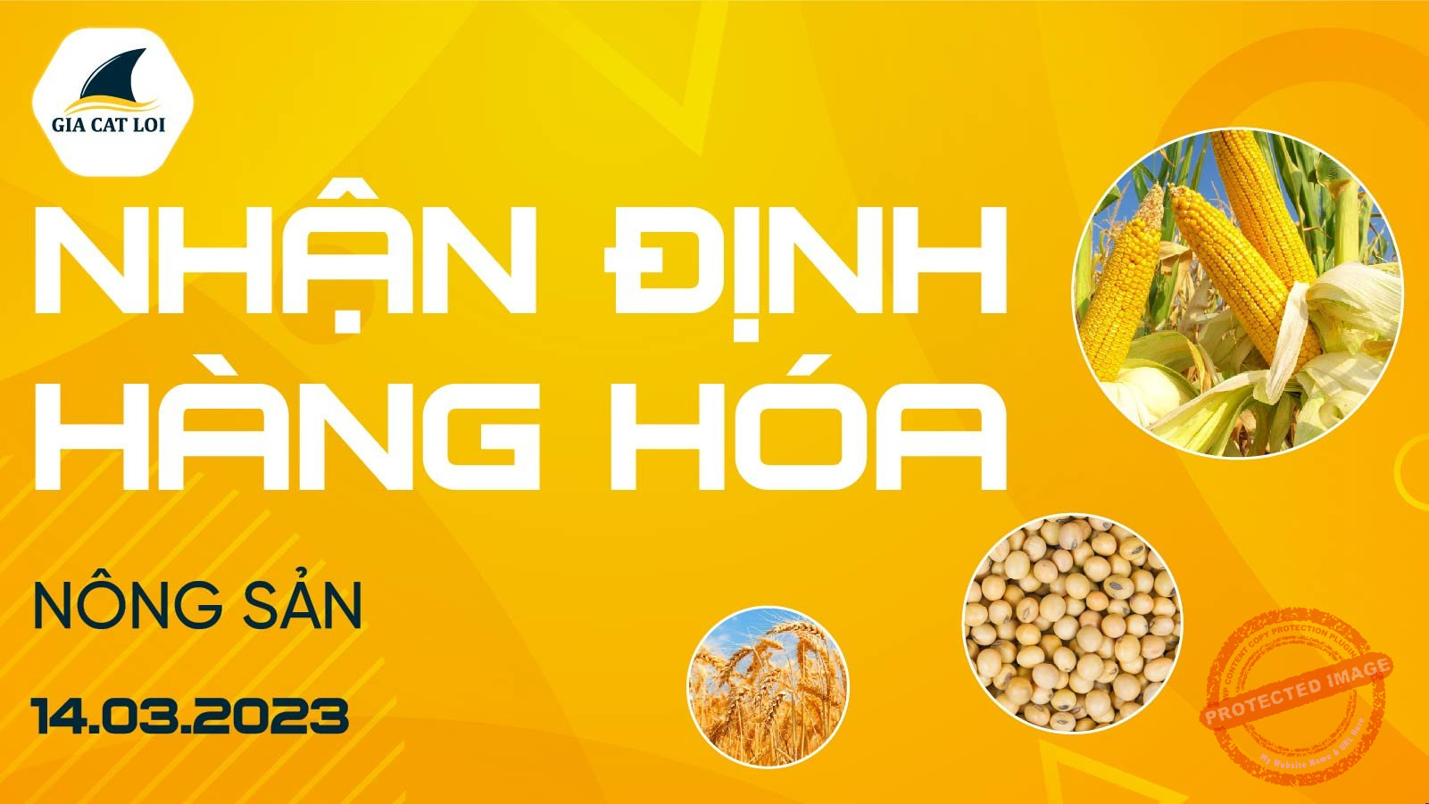 Nhận Định Thị Trường Nông Sản Ngày 14/03/2023