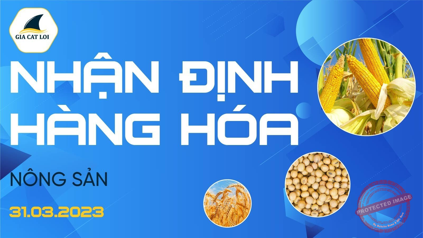 Nhận Định Thị Trường Nông Sản Ngày 31/03/2023
