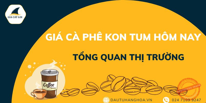 Bang gia ca phe Kon Tum hom nay moi nhat